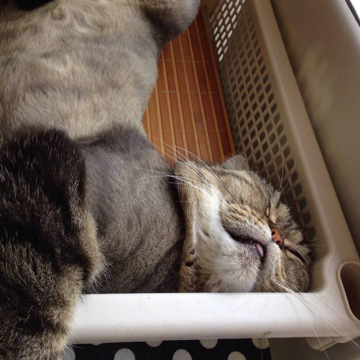 6768f27c ff9b 4d71 b7b6 14d5690bf2e4