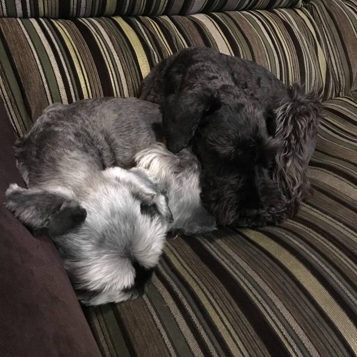 676953cb f5b0 474c a838 a3114e04c8c9