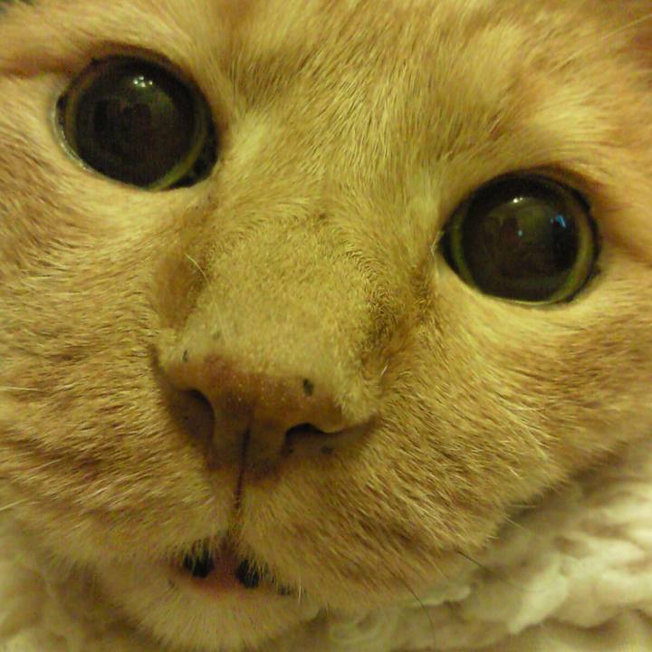 6769ed57 6403 4586 835c 4c19404a104b