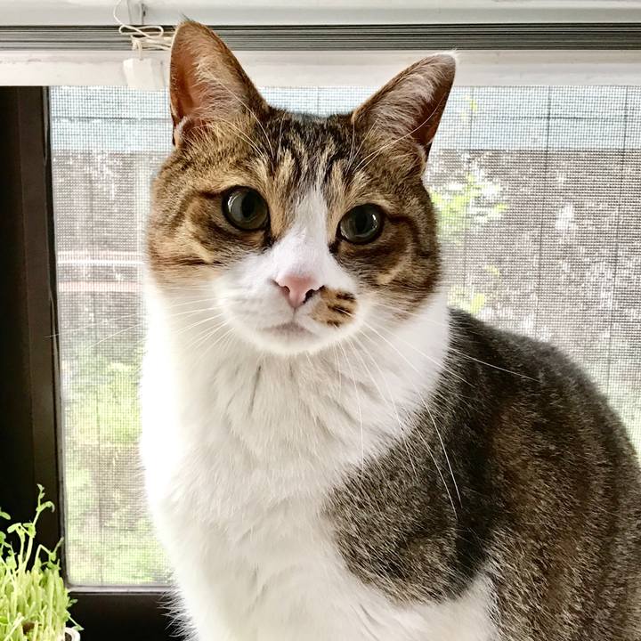 676a4712 b818 481a 9718 0b6f2c1e141e