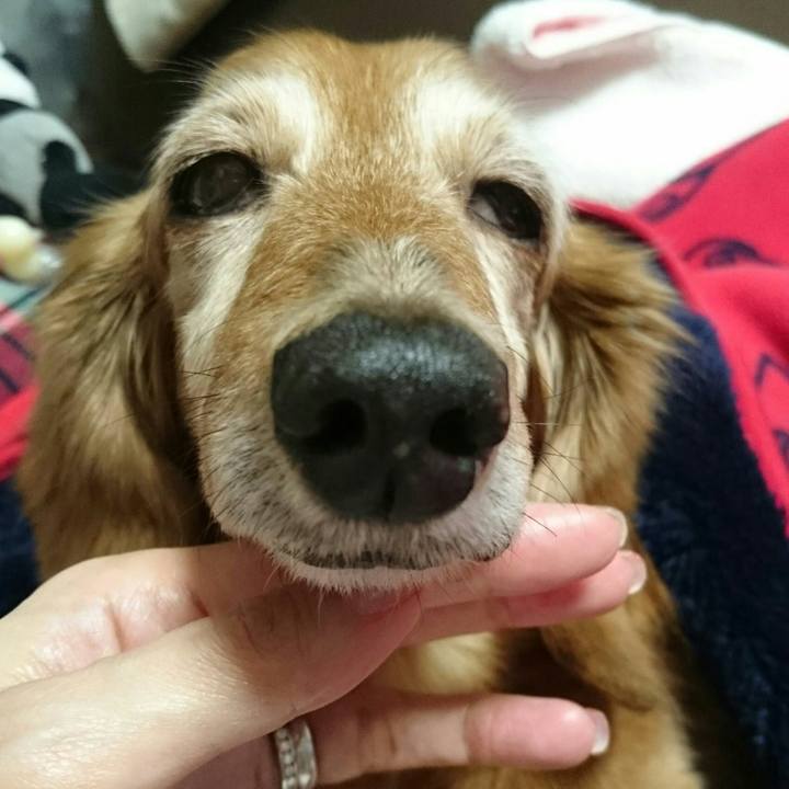 676a545a 7e64 4ccb 9f6e e985f43ff130