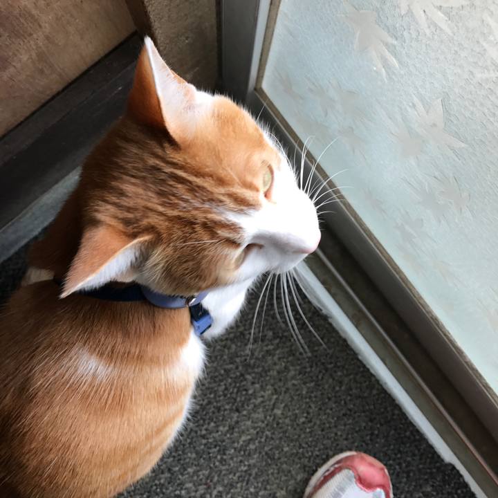 676af7a1 8267 456b bfad 508f7021169e