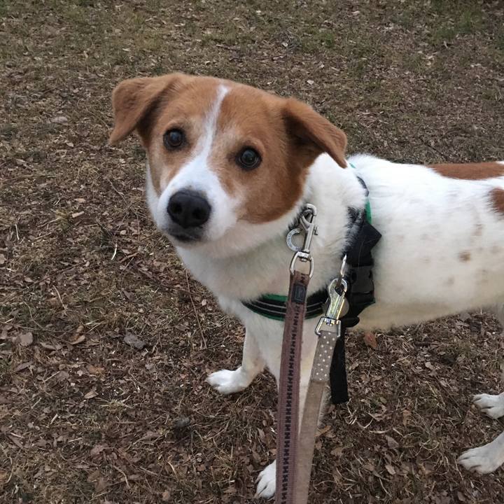 676c4c52 9306 44c2 9eb1 48ab6300cc8e