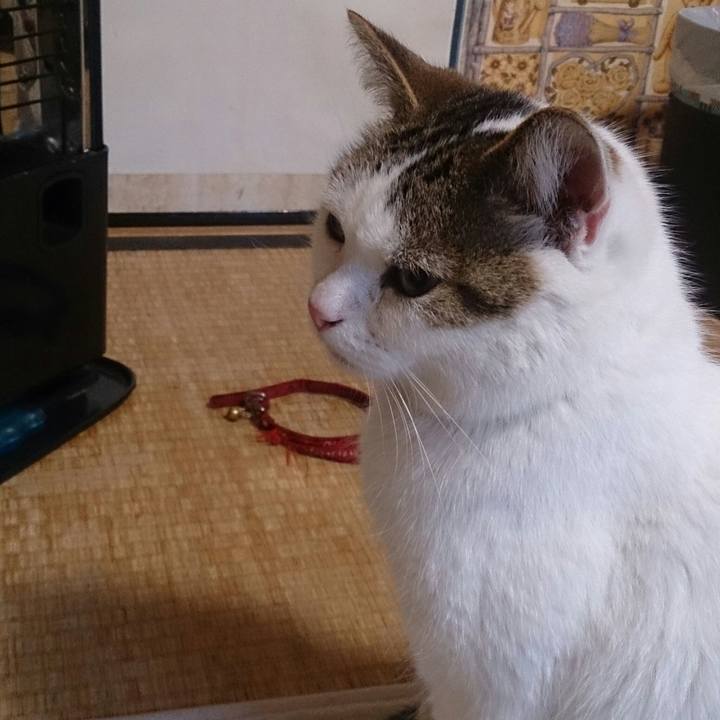 676d80aa e26c 46a3 88d1 dcb53a94300f