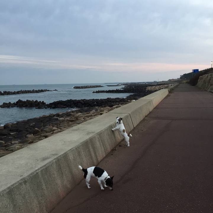 676de044 5f66 49ba add7 8222881ae23f