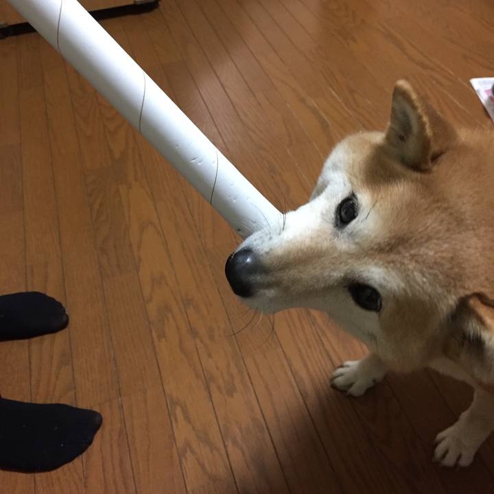 676e1c73 f482 4004 82db da6aa8a3579e