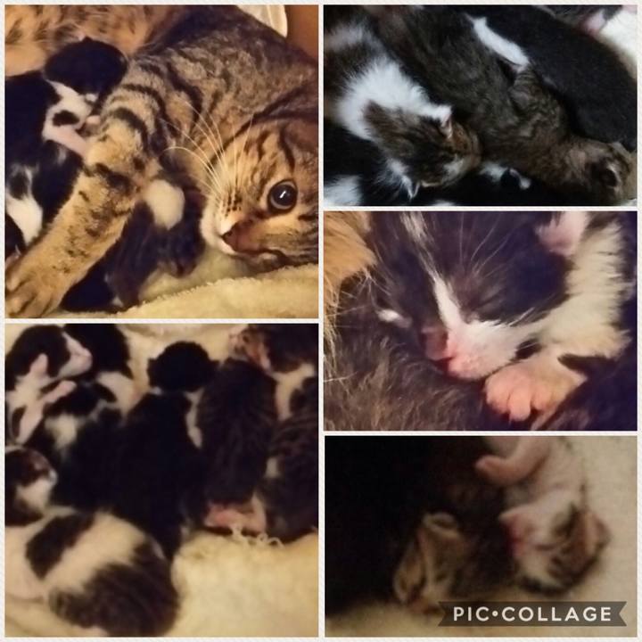 676e279a 1196 4844 ad8e c1c34c51ced5