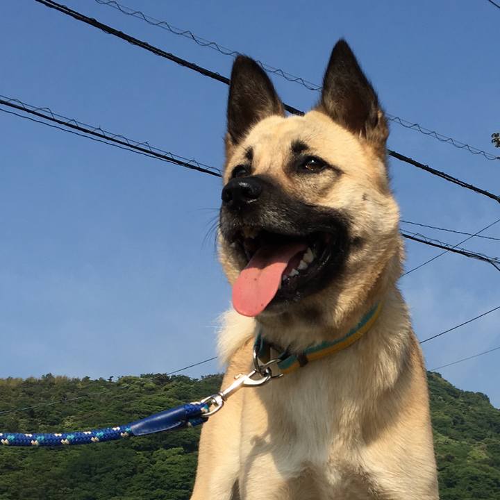 676f097e 98d8 44f7 b8a9 376472a60d38