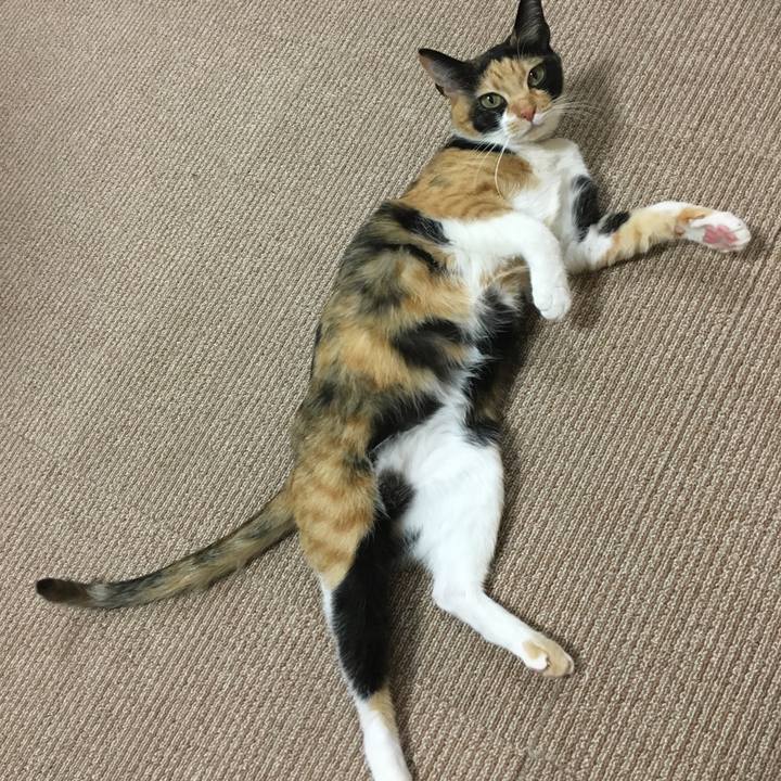 676fa221 4aa8 481f bc2e f109a1b413ce