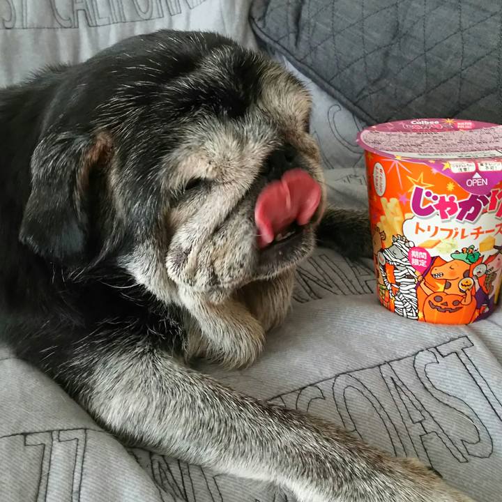 676fca73 7605 4fa7 8bec 1de411e863c7