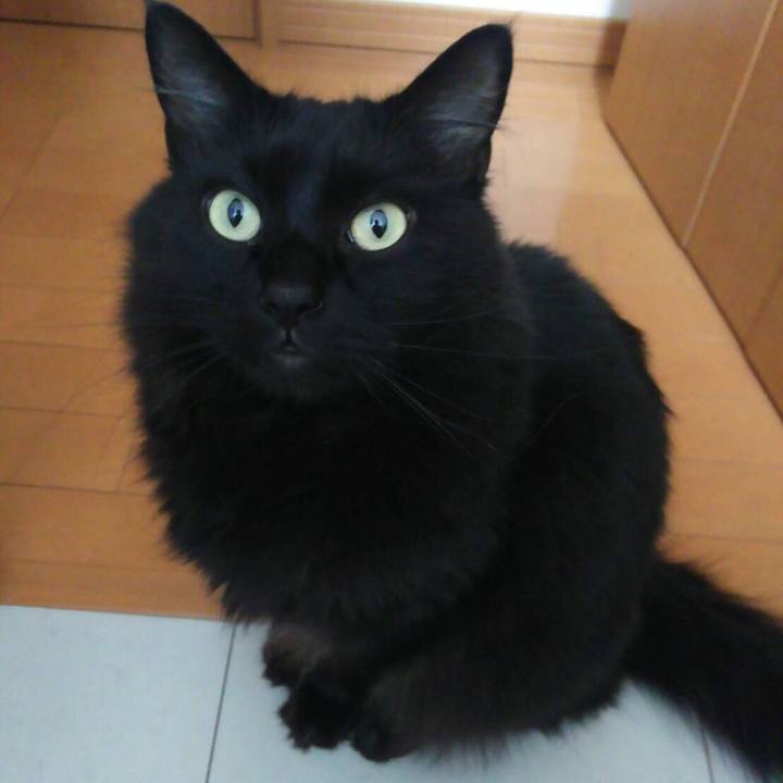 677034a8 7f05 450a bfa5 c602c170e5e2