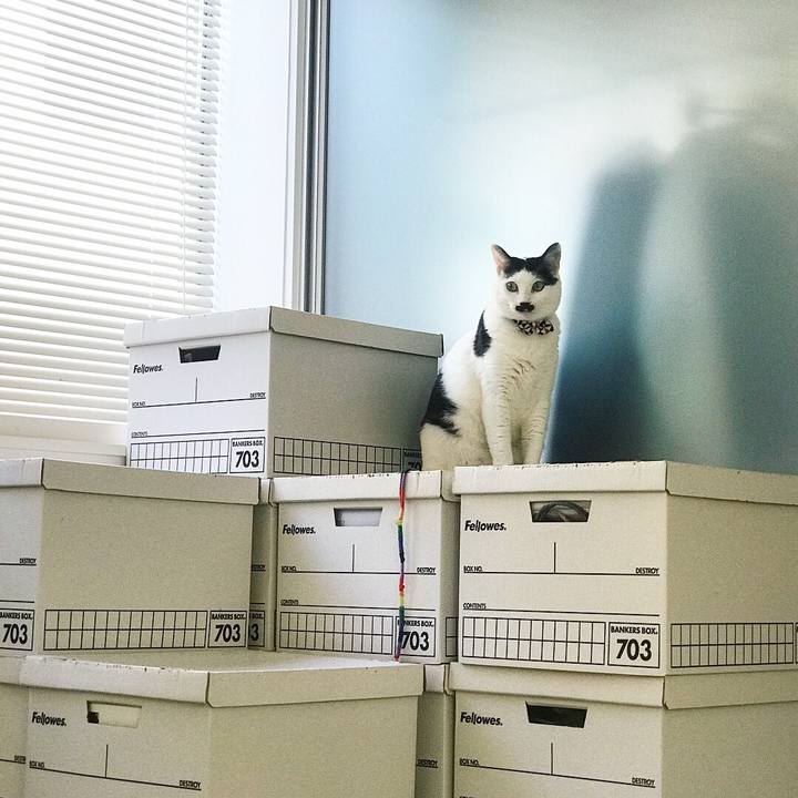 677079d5 5f2b 42cc b4e8 347683fa3081