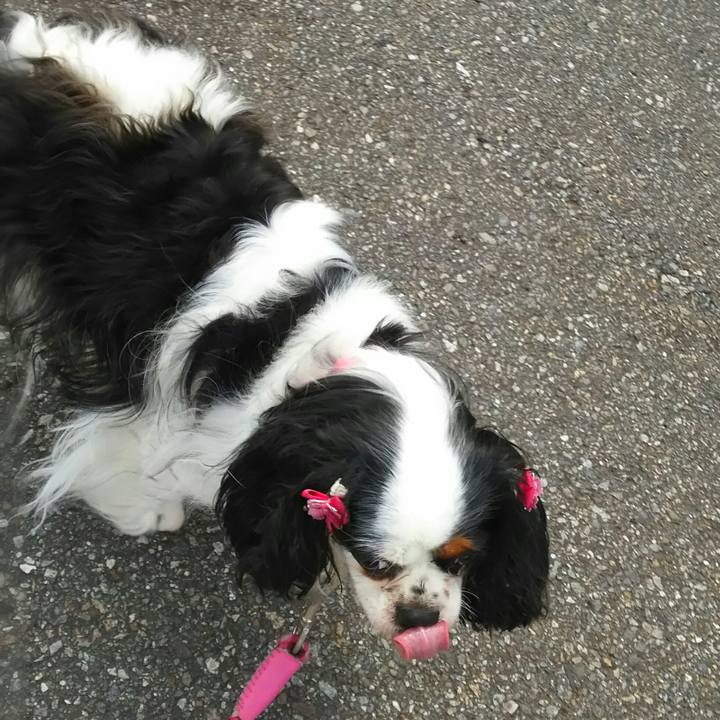 6770b7a5 1456 4c47 993c c0ef41d816b9