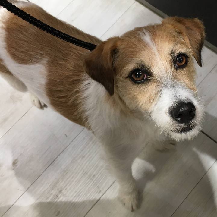 6770cf74 8f20 4d30 a796 c4241d0d28d9