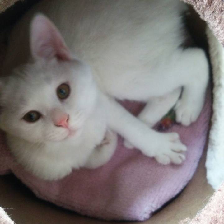 67711952 721d 4f29 b912 778abe2f4ea2