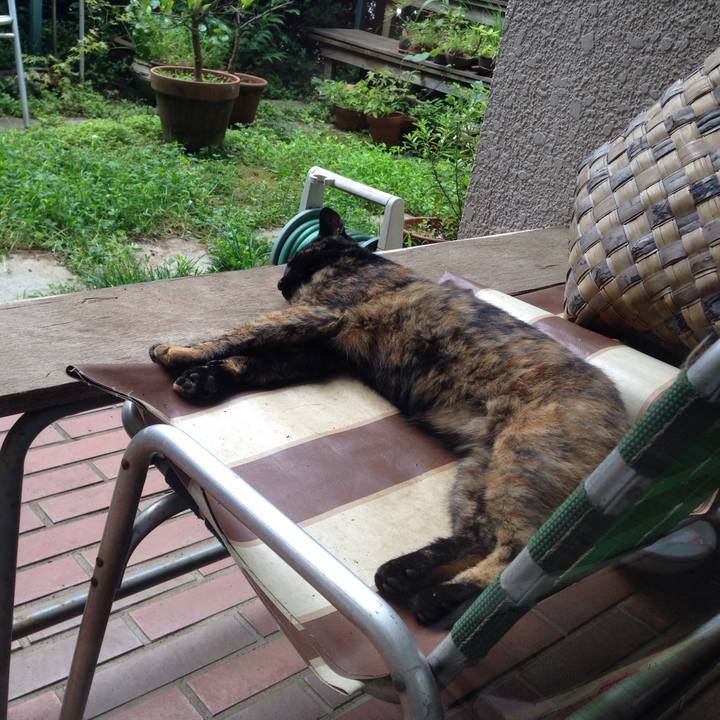 6771b5b8 4263 45a9 897e 84b503438694