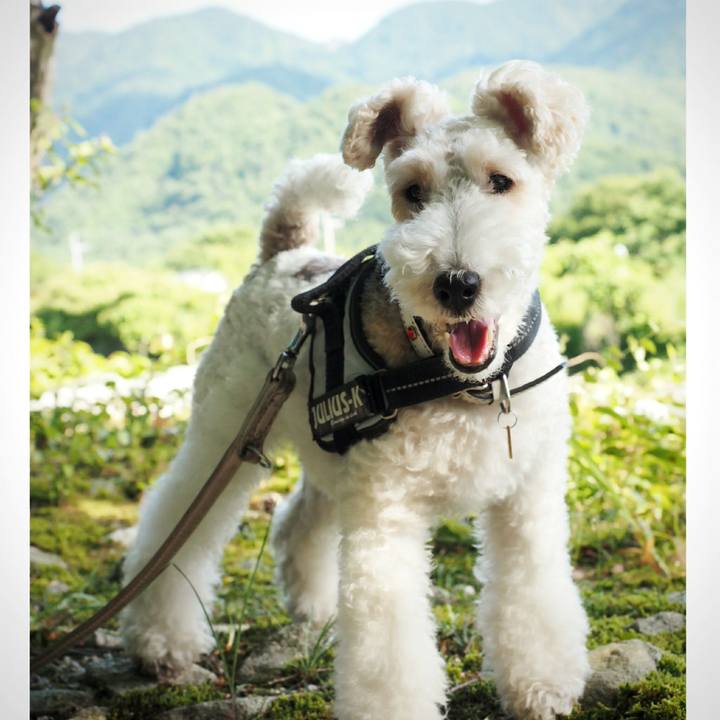 67726d4c 897d 48a5 be4e 658d5362037d