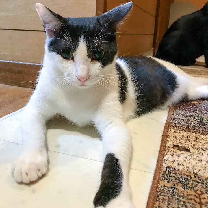 677297b2 590c 44d5 af13 6716bba72bd9