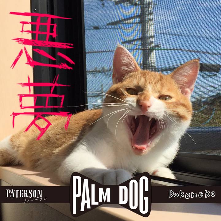 6772f32f 04be 455b 9af5 10444924eedb