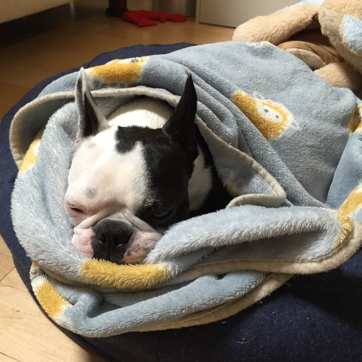 6772fb49 5b1c 429c 89aa a40b02552e8e