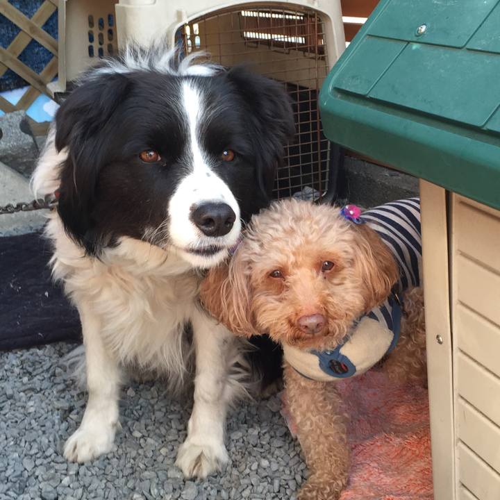 677327dc ab48 4ab2 ab27 232e53471acf