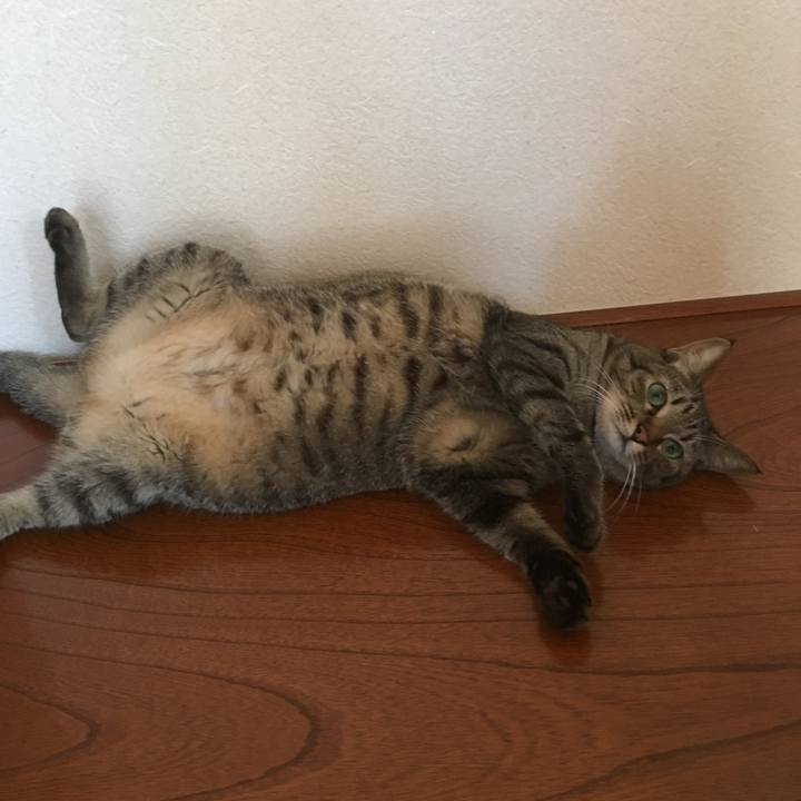 6773adca a006 4a52 8b44 2ebd2bbe99db