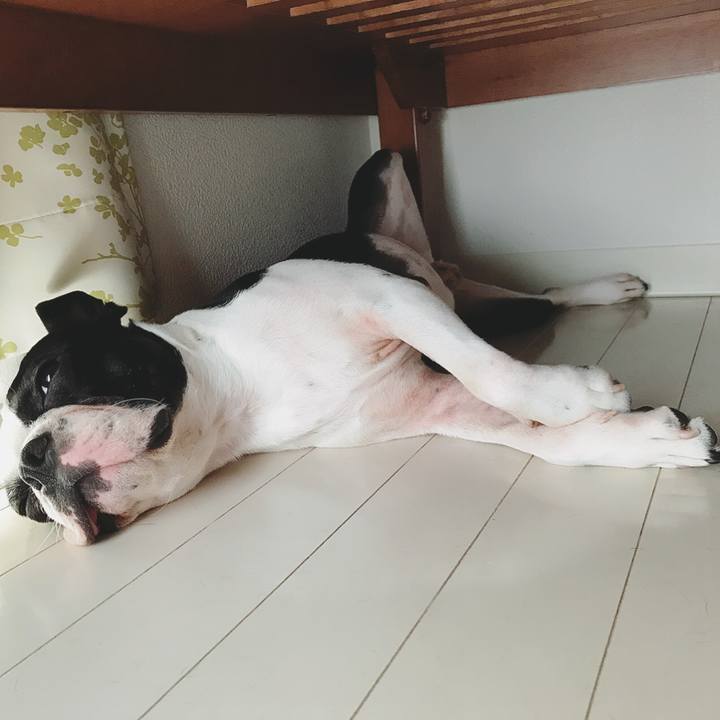 67744fb8 f123 460f b24c 67e021c150f2