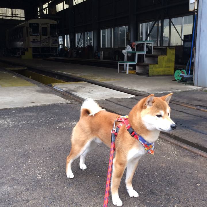 677474a2 d14a 426f 99e0 60cb2ee258ec