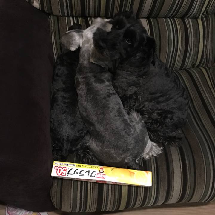 6774a1d3 46cf 4db5 992e f546b9e0db79