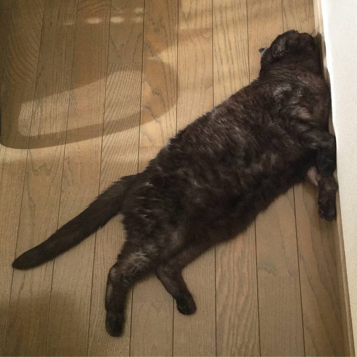 6775b49c ddd8 4430 8fed 43f7e8bf53d4