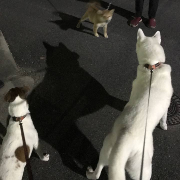 67762142 c683 47b8 8c0f 67f4c1590990