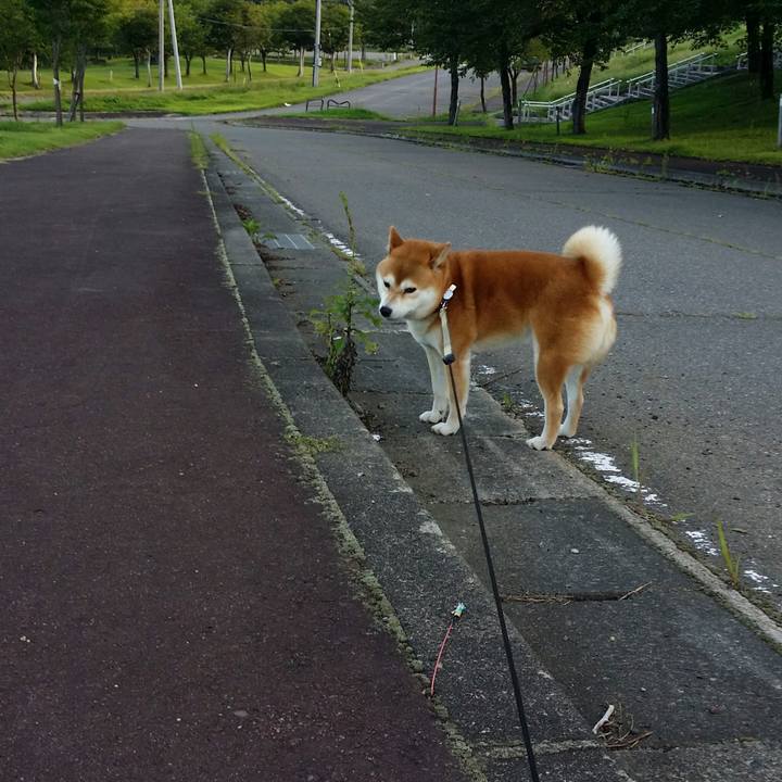 677682fd f05b 4db2 8c60 300fc372c208