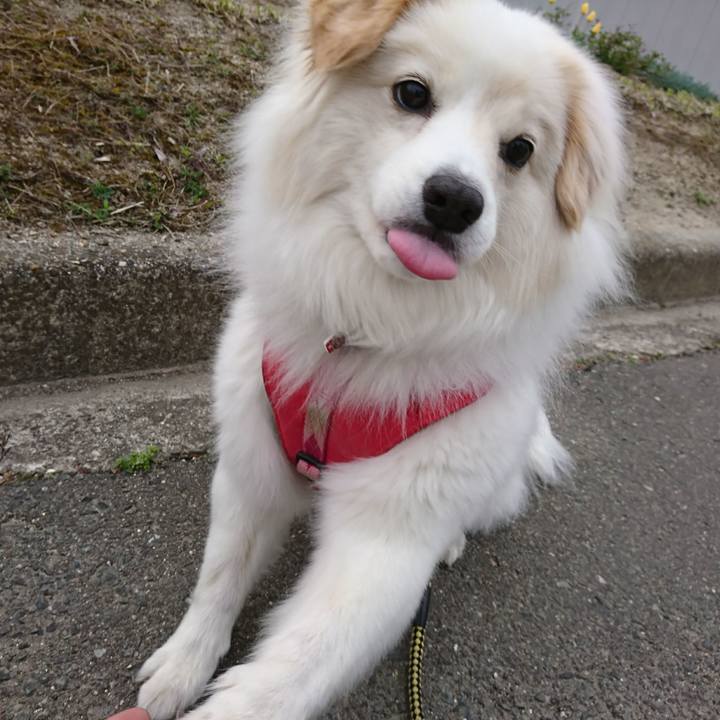 6776f7cd 332a 41c1 b536 5f0ebd1c1168