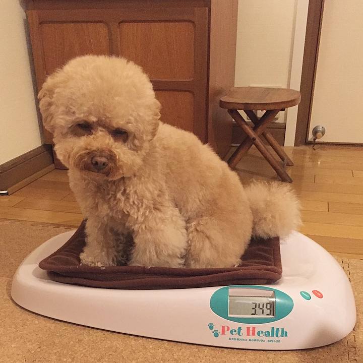 677736a8 5b7b 4d8e bb00 db1cf11ddefc