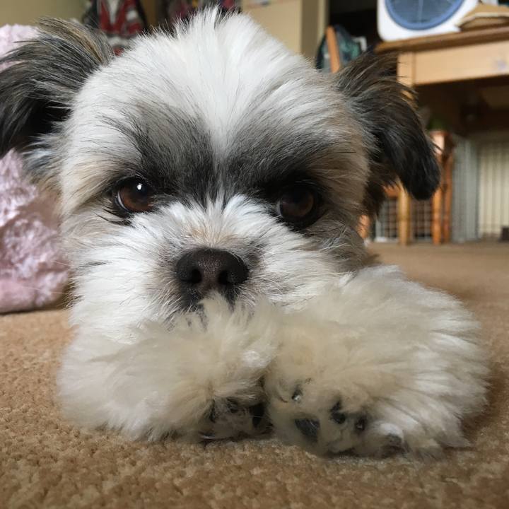 67783d02 64b9 4542 bd01 07516e493646