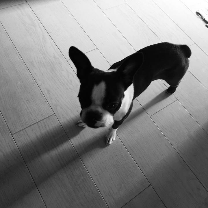 6778616c 8651 4d6b 8986 101cf4cdf2c0