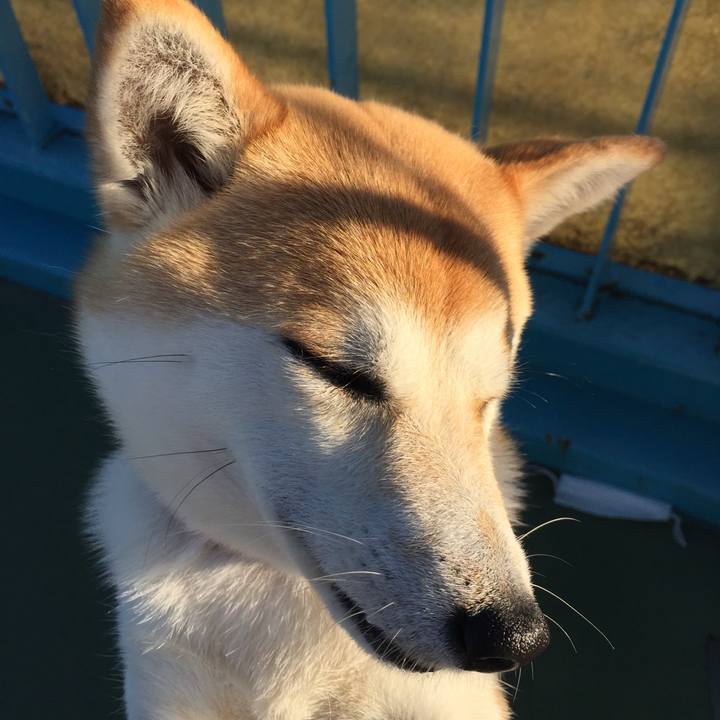 677881af b9d3 4120 ae23 1a22cfaec6d4