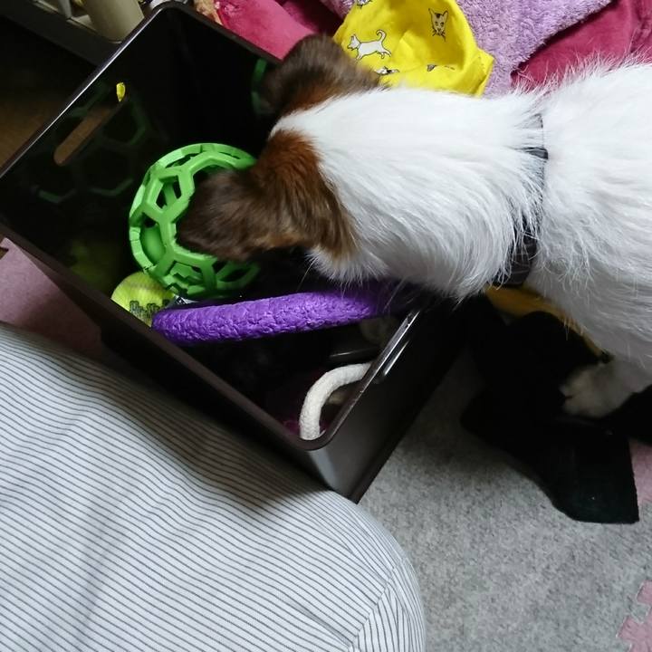 6778e5f3 f1e8 4f5e a42a 41a4c5a74741