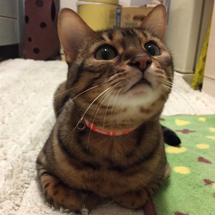 677a0c82 324a 43a1 b5b3 3849011f07ea