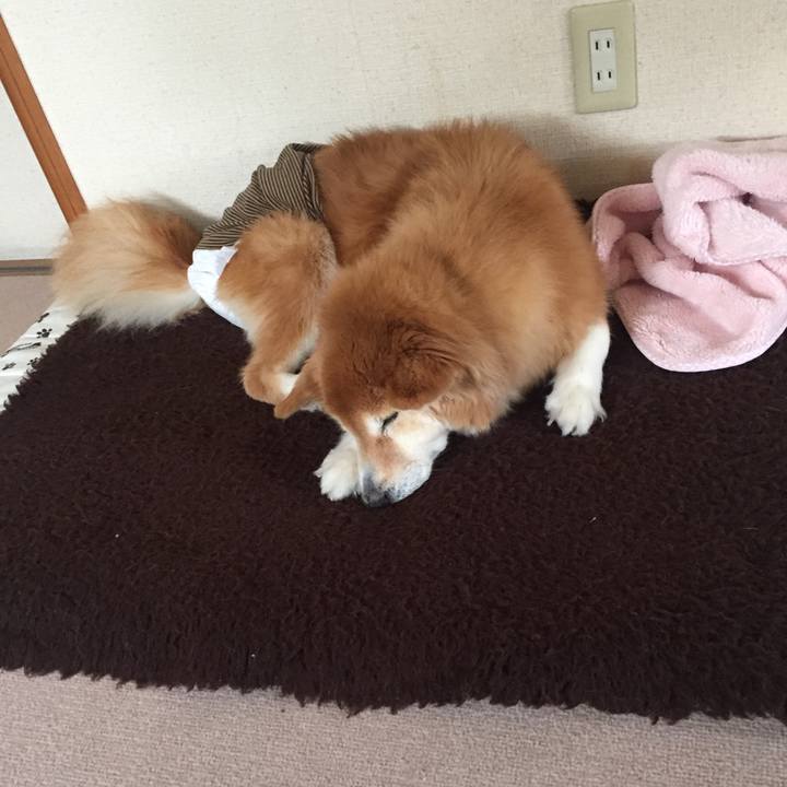 677a8856 00b1 424b 8bc7 beb327c3083b