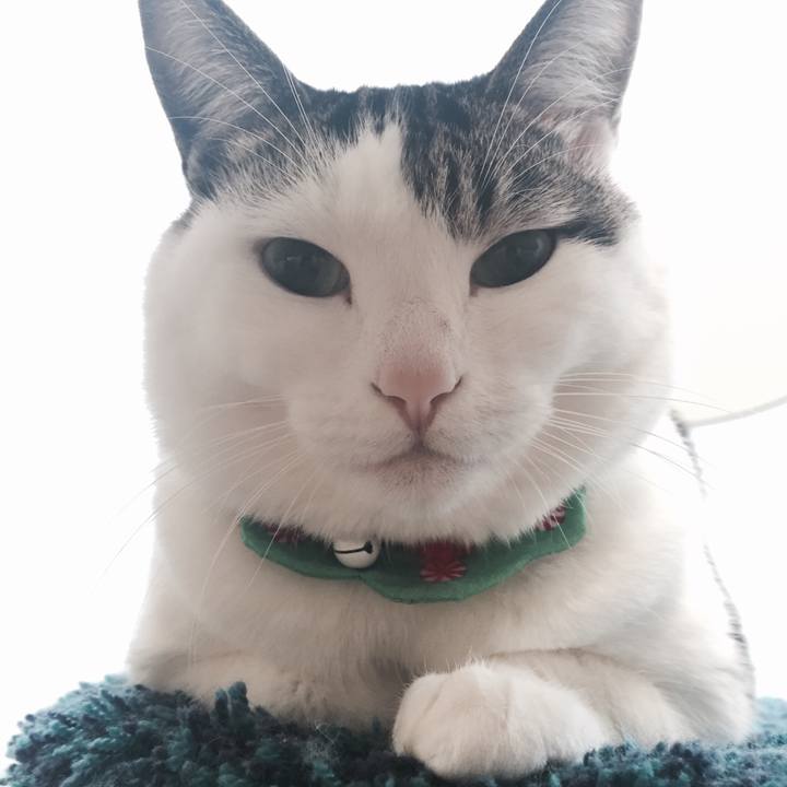 677ad767 9ea8 48b4 b252 ea87a160ddab