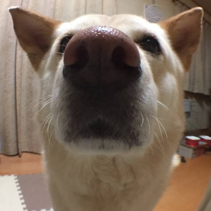 677ae7c1 2ebf 4cc8 b3be 546a6edcd14d