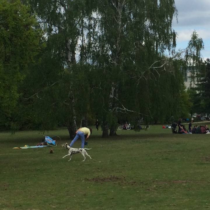 677b3add fafc 4cba 9d82 ec3245455319