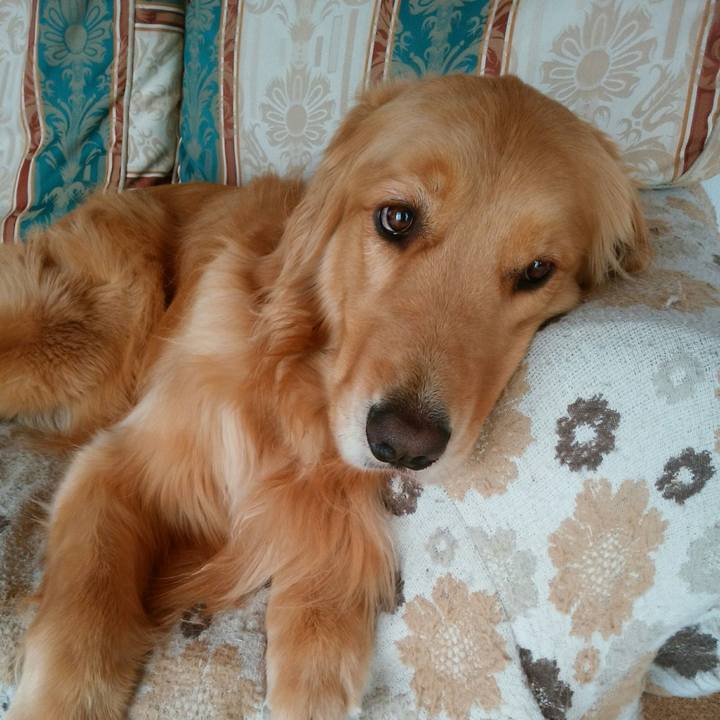 677b4188 0ca1 4100 adc9 cfb32eb684b7