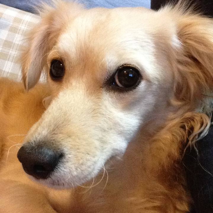 677c11da f0a9 4ce3 a083 ad951b661495