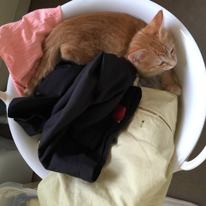 677c7e50 6eb3 4ebf b619 fdd2210992cb