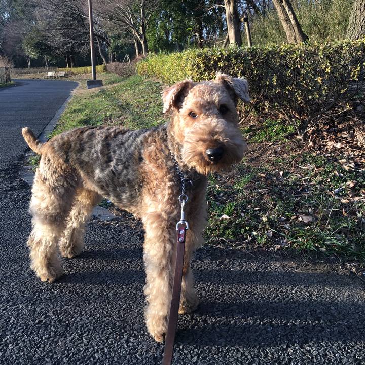 677dbf4d 43b7 435e bb3e d2aa38955d2c