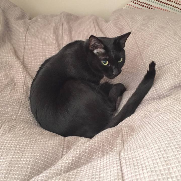 677f109a 0820 403d a45d 52bf894ef5e4