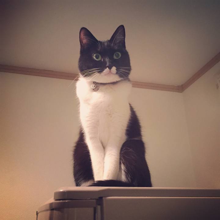 678029db 876d 4761 8328 d2e7e0ca4c72