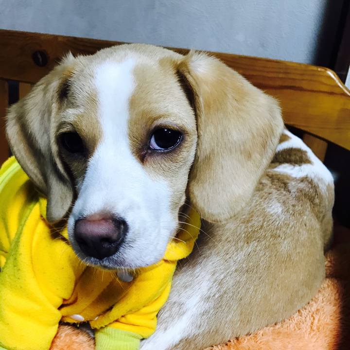 6781bd7d f2f0 499e 818b 2f5cc0b67ac4